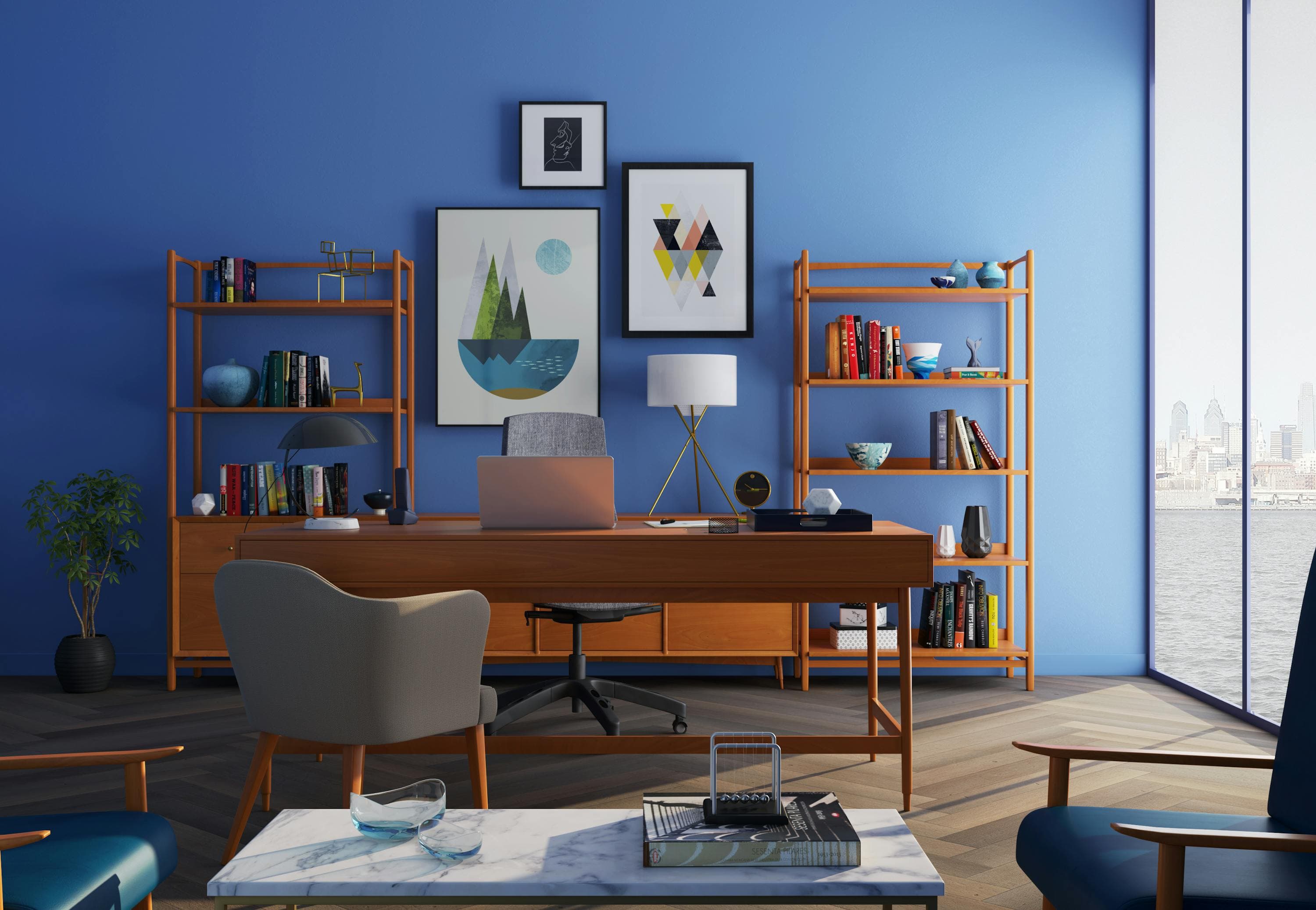 Professional Organizing Services
